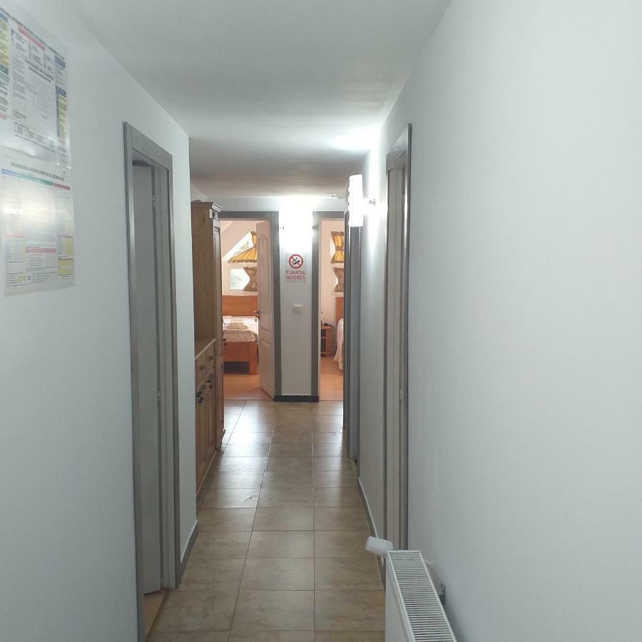 Pensiunea Casa Maria Vişeu de Sus Exterior foto